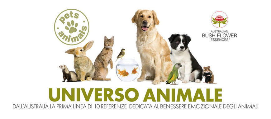 Novità - I rimedi floreali per gli animali