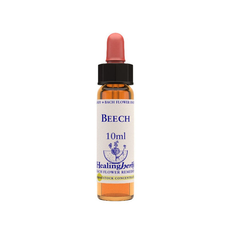 Beech