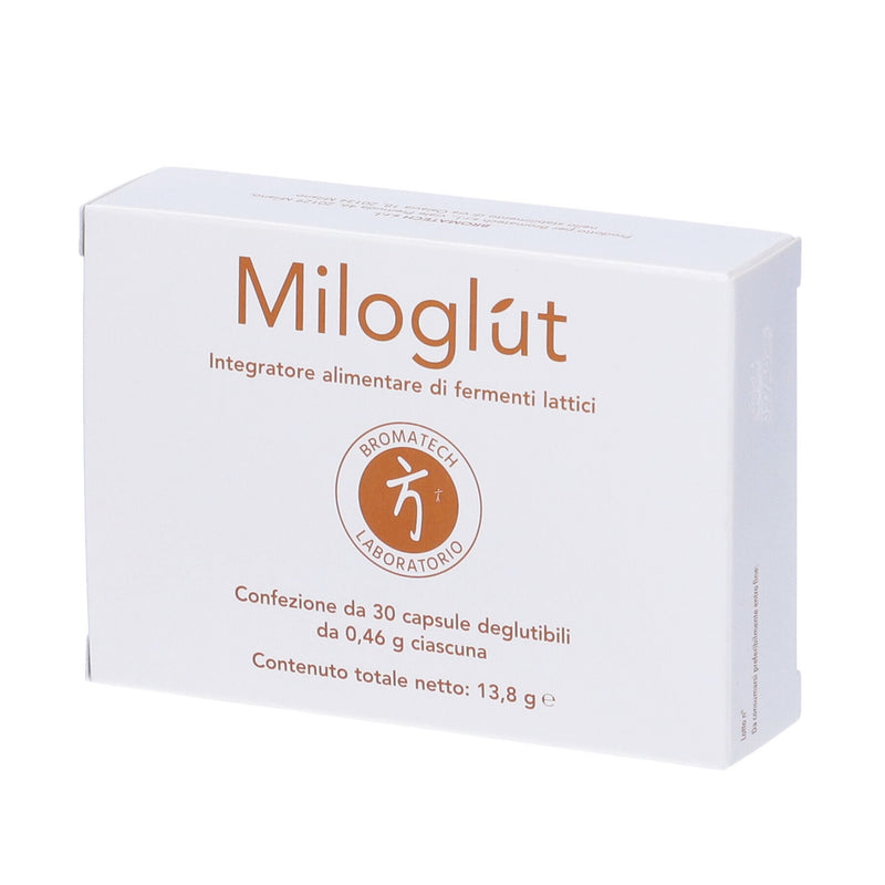 Miloglùt