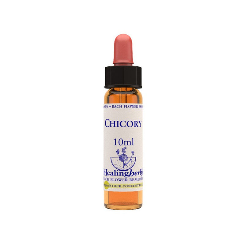 Chicory