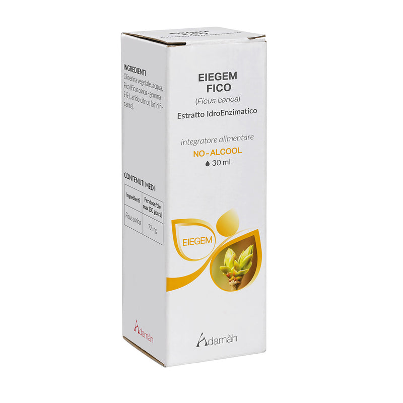 Eiegem - Fico
