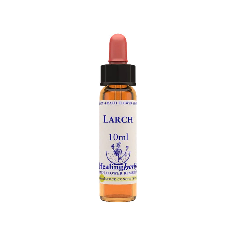 Larch