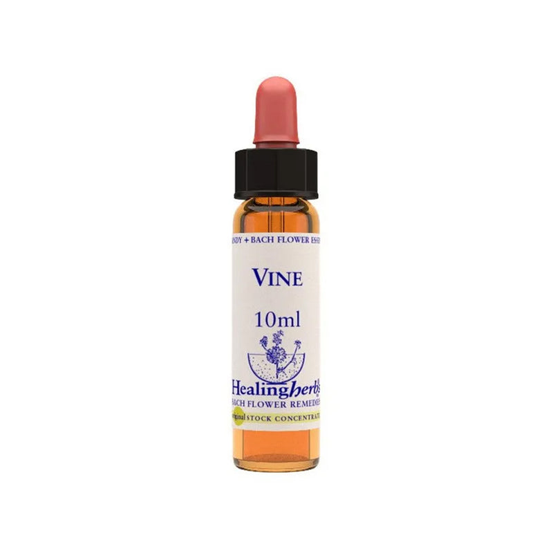 Vine