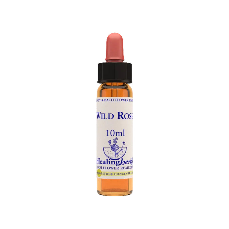 Wild Rose