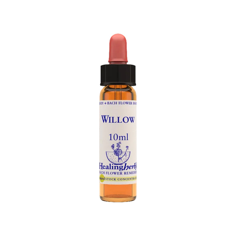 Willow