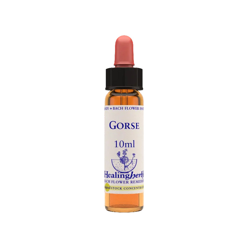 Gorse