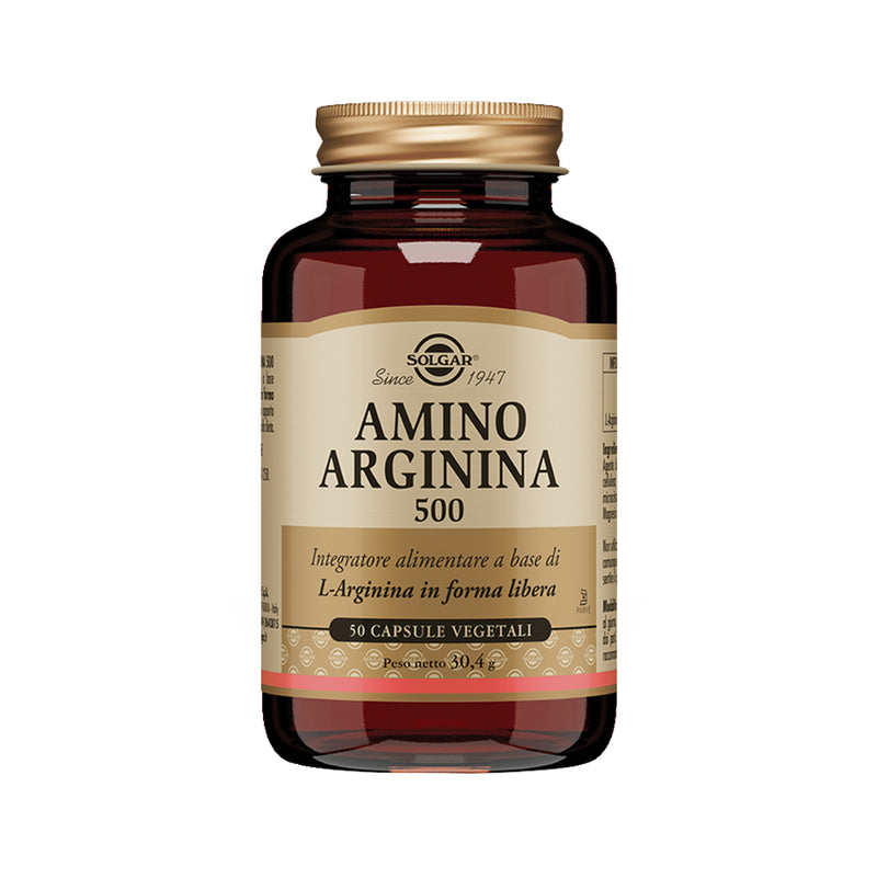 Amino Arginina 500