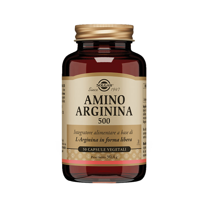 Amino Arginina 500