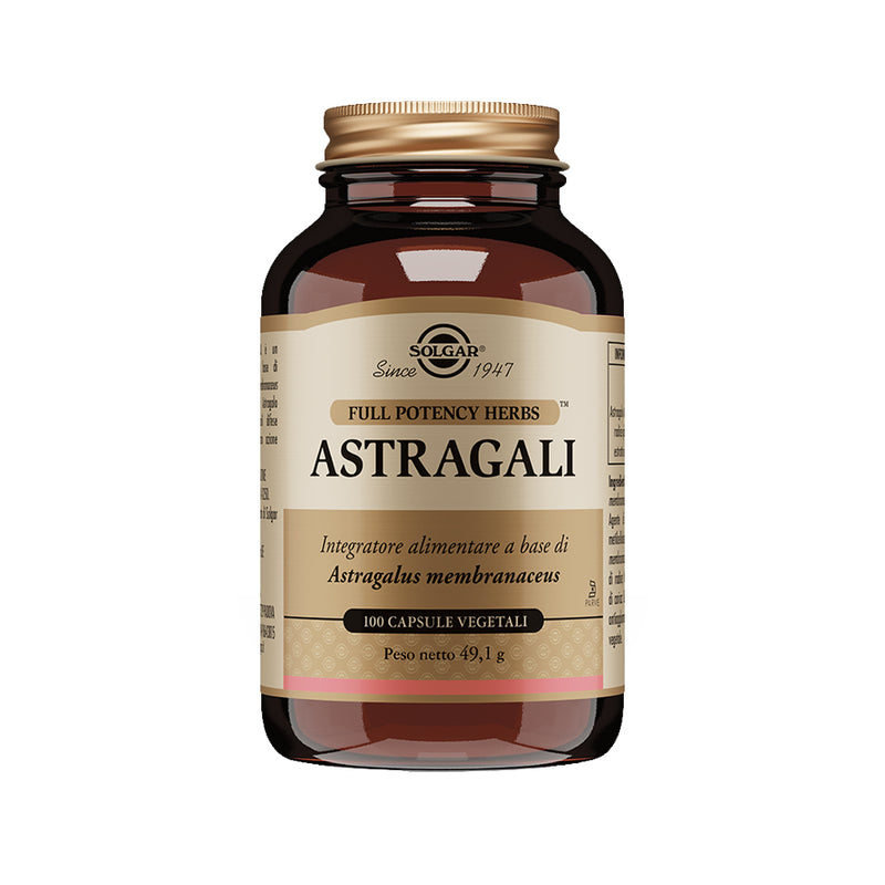 Astragali