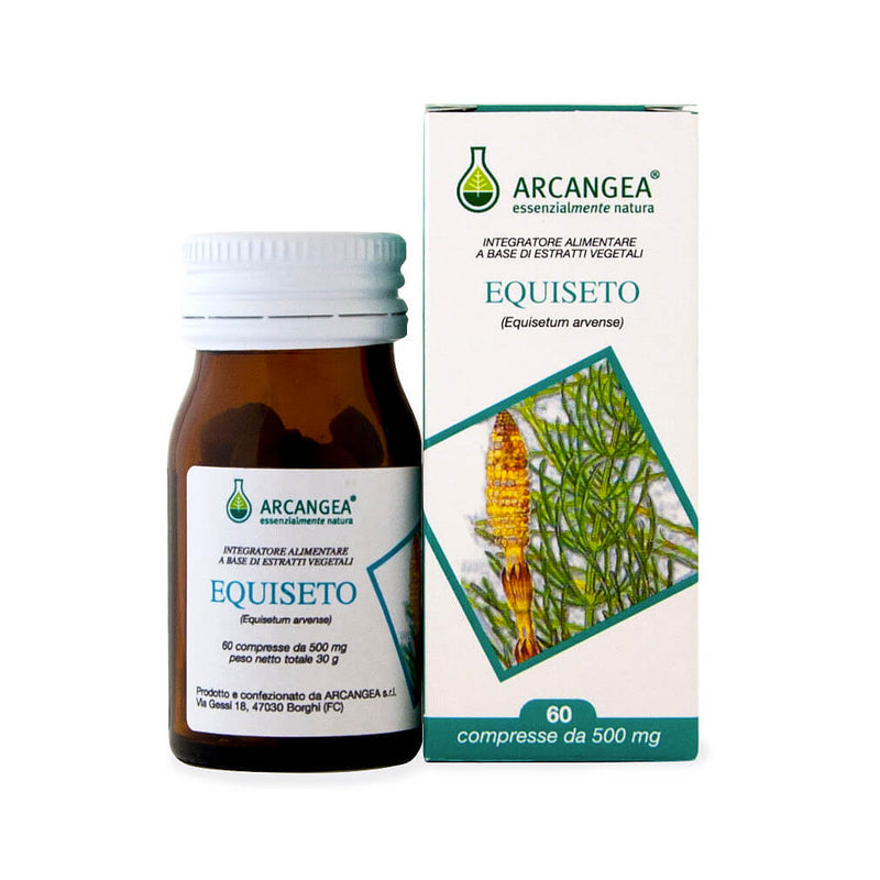 Arcangea Equiseto