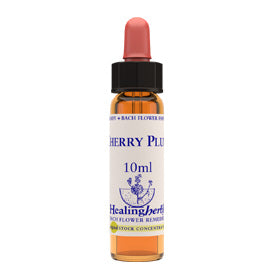 Healing herbs Cherry Plum