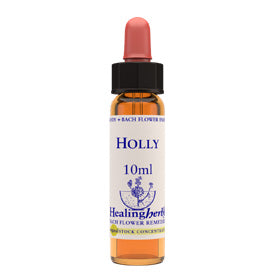 Healing herbs Holly