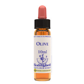 Healing herbs Olive