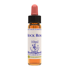 Healing herbs Rock Rose