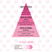 Helan Foglierare Spirito libero Profumo piramide olfattiva