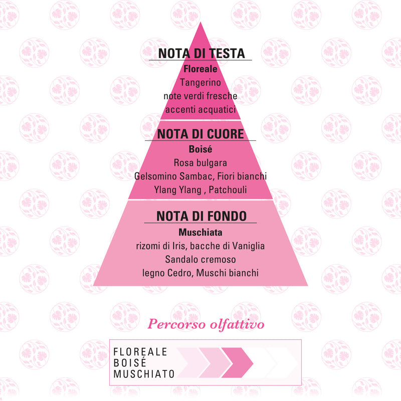 Helan Foglierare Spirito libero Profumo piramide olfattiva