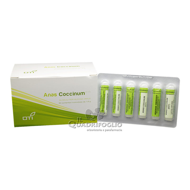 OTI Anas coccinum 30